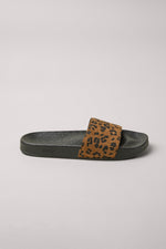 Brown leopard slides