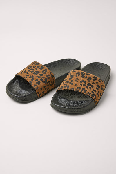 Brown leopard slides