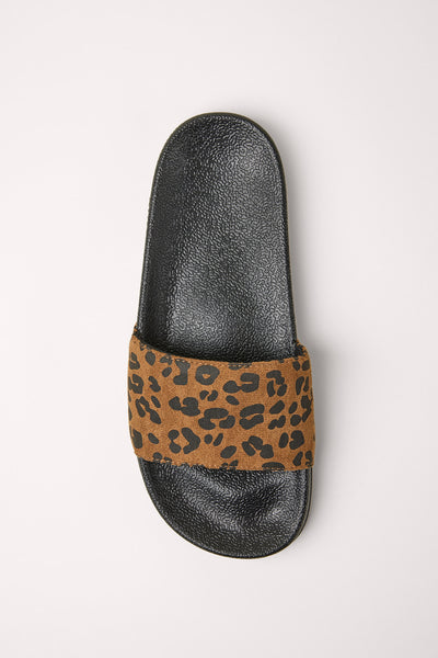 Brown leopard slides